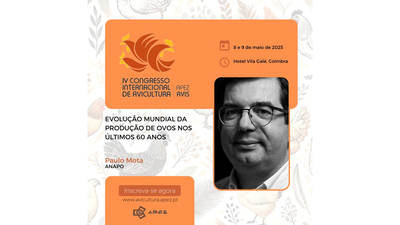 Paulo Mota