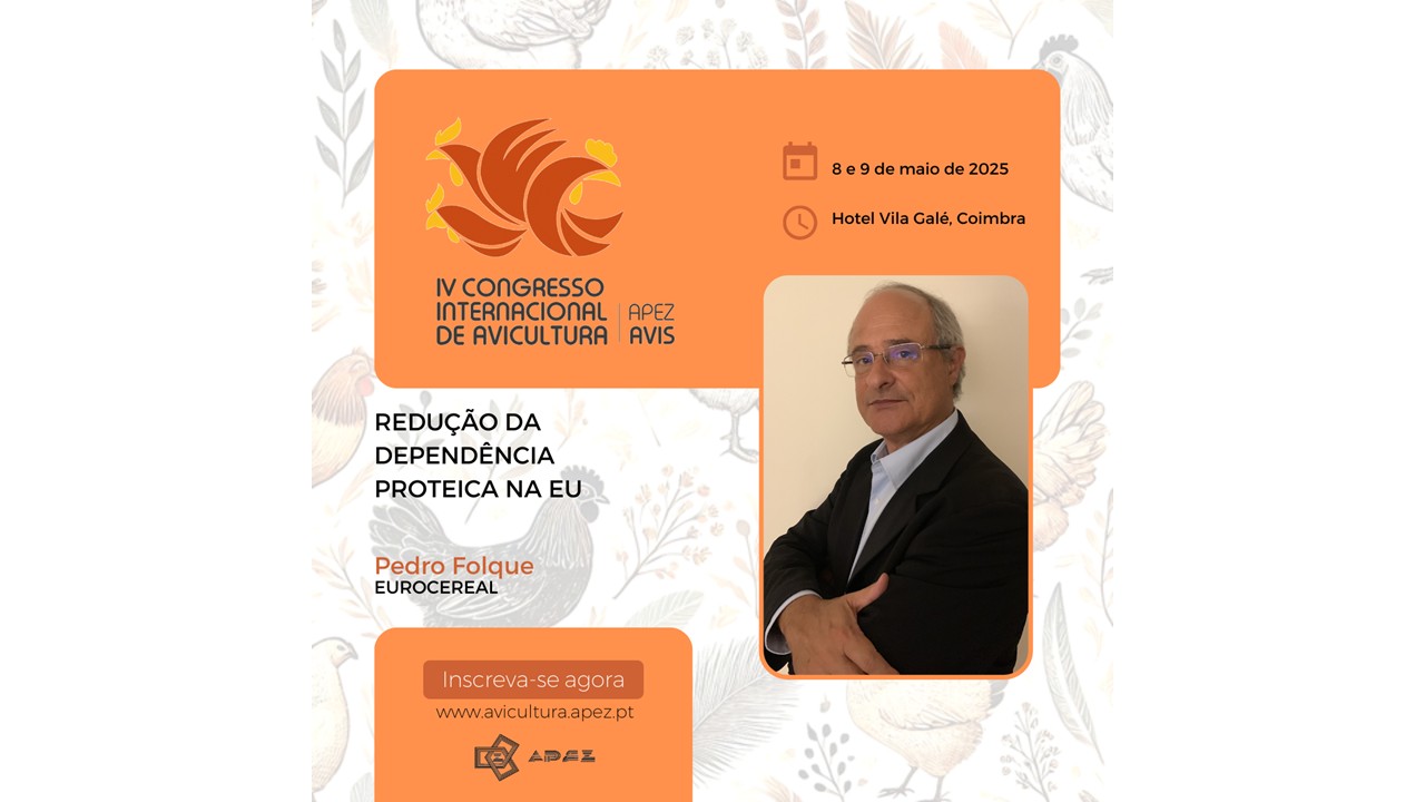 Pedro Folque